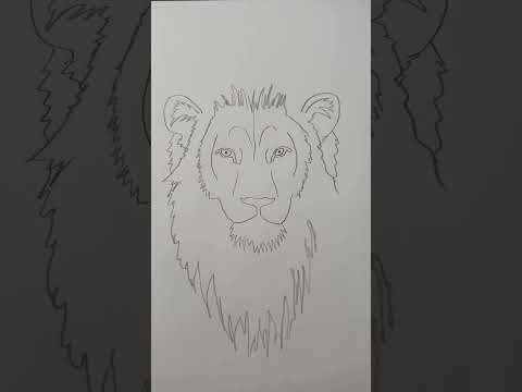 Draw a lion!🦁 step by step drawing lesson.