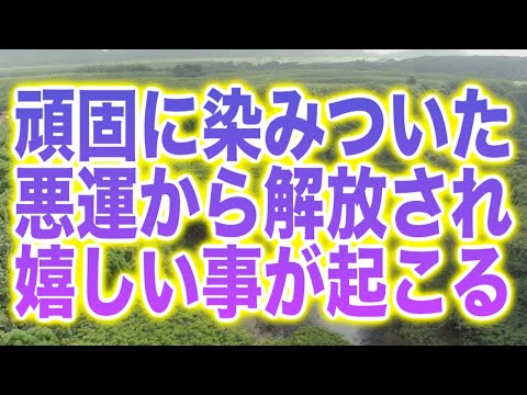 「頑固に染みついた悪運から解放され嬉しい事が起こります」というメッセージと共に降ろされたヒーリング周波数です(a0375)