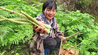 Go into the mountains and pick 10 kinds of wild vegetables to make a hot pot feast