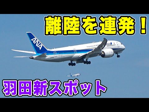 【羽田空港】目の前で飛行機が離陸！迫力の新スポット、ソラムナード羽田緑地で飛行機実況！