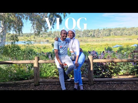 Vlog | Farmers' market, Thrifting furniture