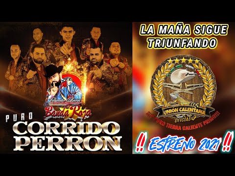 La Maña Sigue Triunfando / Josecito León y Su Internacional Banda Roja / Estreno 2021