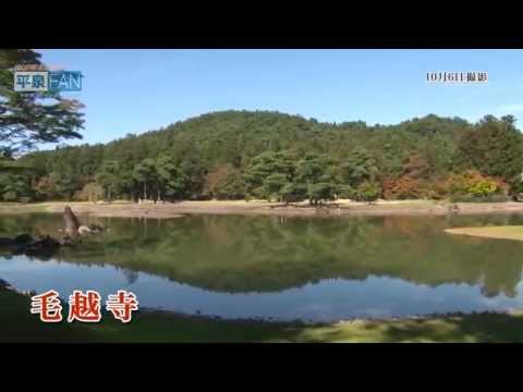 【世界遺産平泉】平泉のススメ #27 〜深まる紅葉と本堂法話〜 2015/10/14放送分