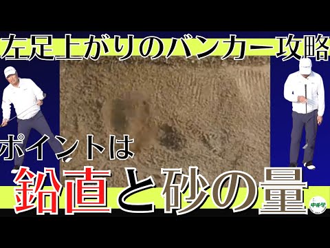 【バンカーショット】左足上がりのバンカー！キーワードは鉛直！【中井学の切り抜きゴルフ学校】