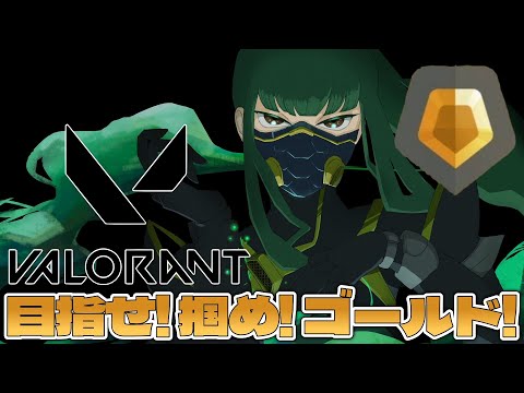 【VALORANT】Act終わっちまうよ！！！！！！！やるぞやるぞ！！ゴールド目指す！！【SVS/双葉らいむ】