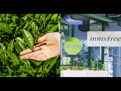 innisfree全新綠茶系列新品