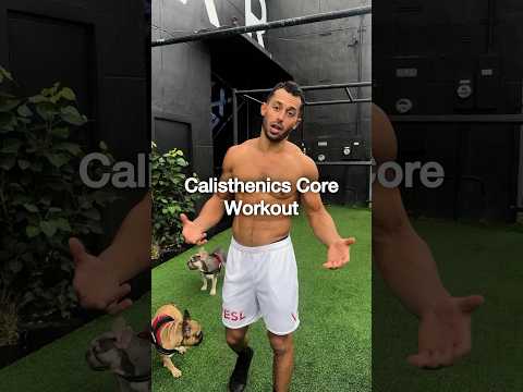 Calisthenics Core Workout | Beginner to Expert