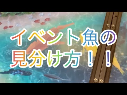 イベント魚の見分け方！これで13種コンプ！　釣りスピリッツシンカー