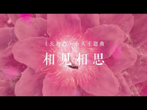 古琴版Guqin《相见相思》，电视剧《长相思》小夭主题曲。