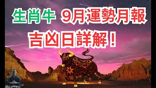 命理測算：生肖牛9月運勢播報，如果牛人感到身心疲憊，一定是因為這個原因。屬牛人必看！#生肖牛2024年運勢 #生肖牛2024年運程 #屬牛人2024年運勢 #屬牛人2024年運程