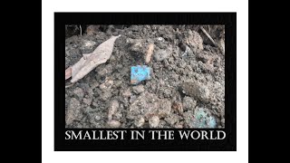 The Smallest In The World - Ohio Treasure Hunting - Oddities - Bottle Digging - Antiques - Marbles -