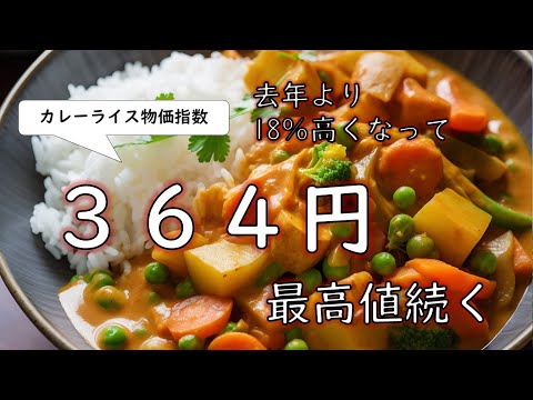 【悲報】カレーライス物価指数🍛過去最高を6か月連続更新　#カレーライス  #お金 #値上げ #値上げラッシュ #物価高 #物価上昇