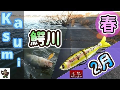 【バス釣り】【霞】2月_早春シャロー_鰐川&北利根川