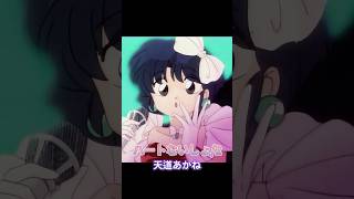 ハートないしょ/2  天道あかね ; Two-Part Secret Heart  by: Akane Tendo (らんま1/2)(Ranma12)