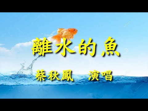 離水的魚                                                                       蔡秋鳳   演唱