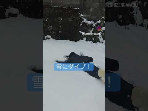 宮崎県で雪にダイブ！