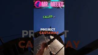 Have you played this game yet? #earlyaccessgame #projectcastaway #newgames2024