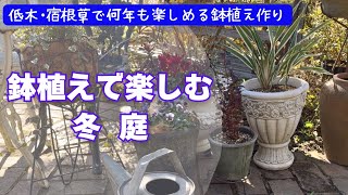 《オシャレな鉢で楽しむ冬の庭♪》ビオラ・ヌーベルヴァーグ／ハンギング／大鉢寄せ植え／低木・宿根草・カラーリーフで大人シックなお庭／鉢植え解体・残渣処理