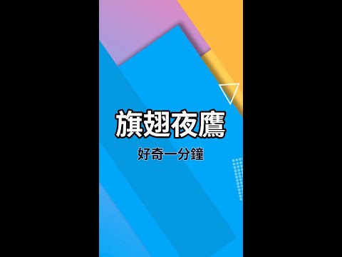 “四翅膀”的￼鳥兒