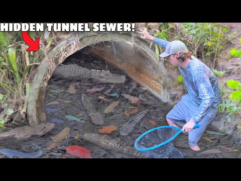 This Hidden Tunnel is FILLED with AQUARIUM FISH!