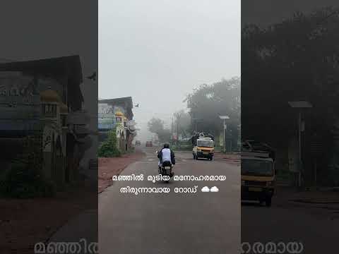 മഞ്ഞിൽ മൂടിയ മനോഹരമായ തിരുന്നാവായ റോഡ് ☁️☁️