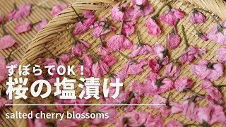 【salted cherry blossoms】how to make salted cherry blossoms