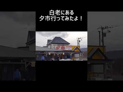 【北海道】海鮮市場#白老#鮮魚#shorts