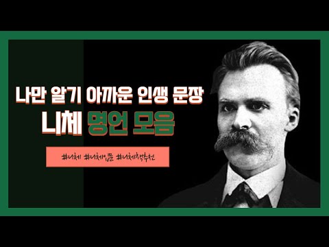 나만 알기 아까운 니체 명언 모음 #니체의말 #니체 #글귀모음