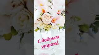 💌С добрым утром! Успешного дня! 🌼🌷🌹