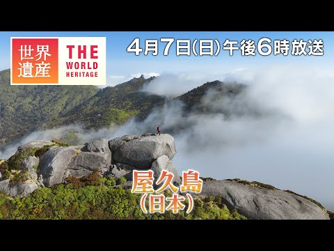 【TBS世界遺産】鈴木亮平が行く！“洋上のアルプス”～屋久島 【4月7日午後6時放送】