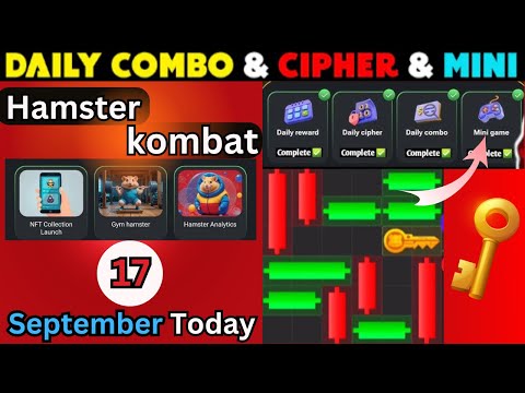 Hamster Kombat mini game 17 September / Cipher codes today / Puzzle game Solved / mini game Today