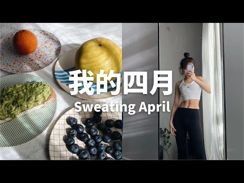 我的四月｜Sweating April｜14天腹肌打卡｜聊聊健身｜我的运动routine｜帕梅拉视频推荐