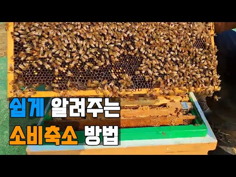 양봉 월동준비 이렇게 하세요!!! 4탄(소비 축소)