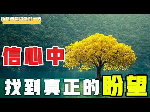 【以禱告開啟新的壹天】在信心中找到真正的盼望 #禱告 #得胜 #等候神 #力量 #盼望 #方向 #目标