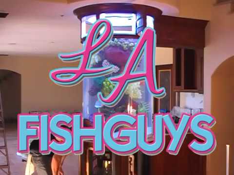 Cylinder Aquarium Installation, LA Fishguys, Episode One, Part  4