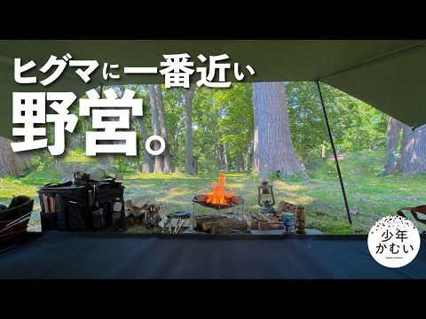 [Solo Camp] Stay at an amazing campsite in Hokkaido's brown bear paradise.