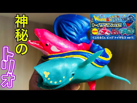 くじら&co.ビッグ →トイザらス限定カラーの神秘（DeAgostini  WHALES ＆ co.）