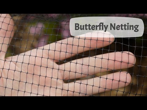 Butterfly Netting Guide