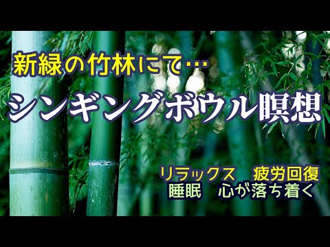 【シンギングボウル瞑想】 新緑の竹林にて…　リラックス  疲労回復  睡眠  心が落ち着く