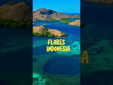 Places you should go -Flores Indonesia#travelvlog #travel #shorts #youtube #solotravelvlog