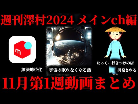 【週刊澤村2024メインch編】11月第1週たっくー動画まとめ【たっくー切り抜き】