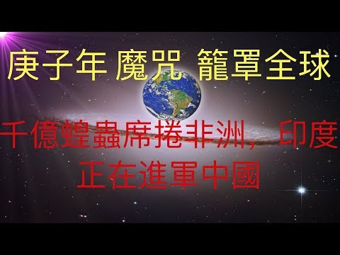 庚子年魔咒籠罩全球，病毒可能在中國之外大爆發，千億蝗蟲席捲非洲，印度，正在向中國大陸進軍。2020的災難繼續，獨家為你揭秘為何全世界都受到庚子魔咒的制約！ #KFK研究院