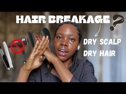 HOW TO stop HAIR BREAKAGE, DRY HAIR, DRY SCALP .