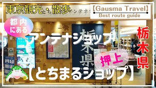 【Tokyo Oshiage】東京観光・散歩 「アンテナショップを順番に巡ってみた！」栃木県【とちまるショップ】編