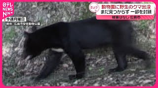 【野生のツキノワグマ】動物園に出没  広島市