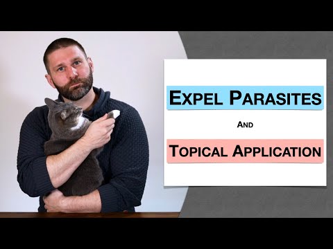 🌿 Herbology 3 Review - Expel Parasites / Topical Application (Extended Live Lecture)