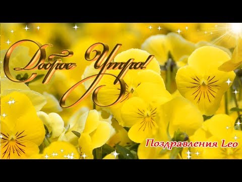 Удачного начала дня!💐☀️ Доброе Утро! Яркого Настроения!