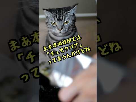 チュモッパにやたら詳しい猫 #shorts #猫と料理 #アフレコ