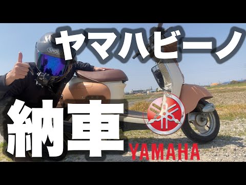 ヤマハビーノ納車【紹介】町内会長専用原付にします！！