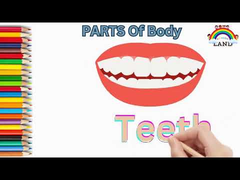 "Learning Body Parts with Drawing #4| Fun Art Lessons for Kids"